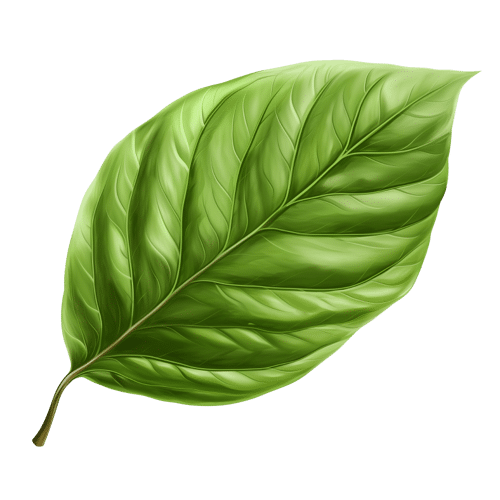 Gateway Carbon credits